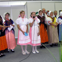 Vlaanky v Ostravì 2007