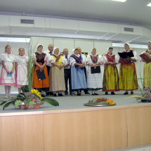 Vlaanky v Ostravì 2007
